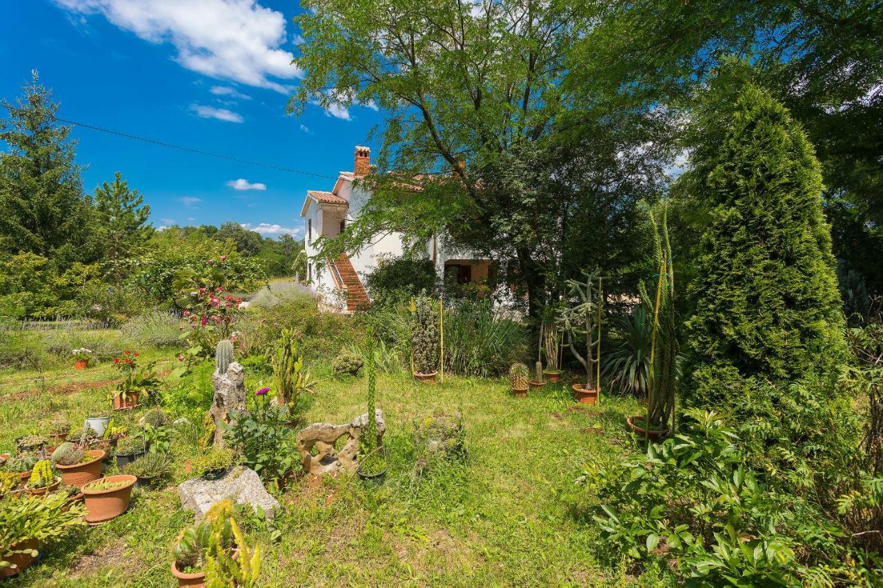 Apartments Valoda Nedescina Екстер'єр фото