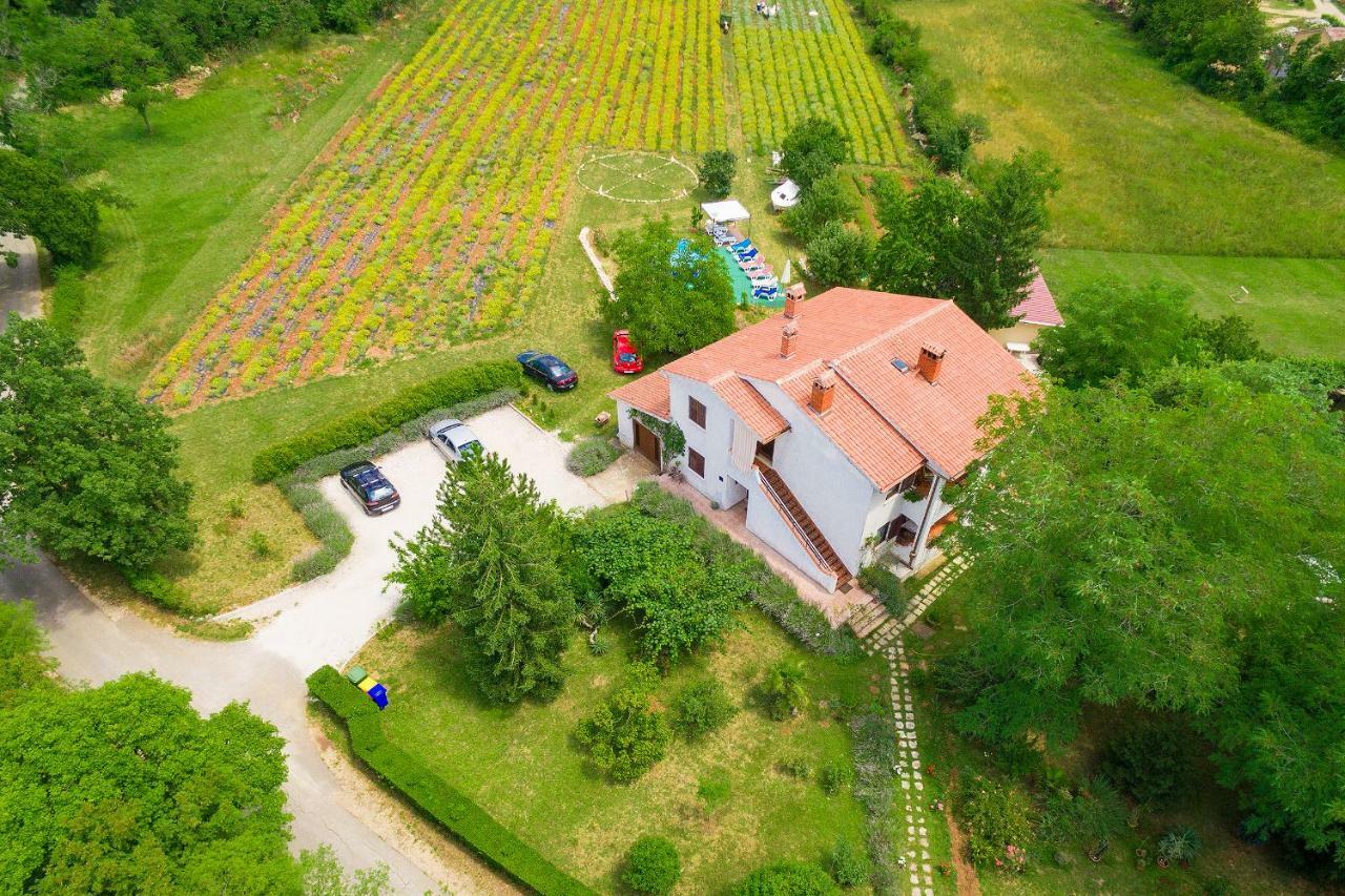 Apartments Valoda Nedescina Екстер'єр фото
